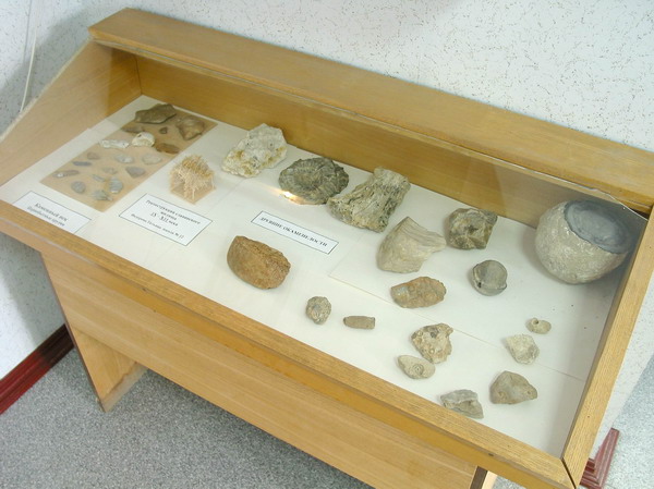 Коллекция орудий каменного века, собранная археологами на территории района