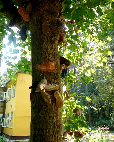 Чудо-дерево Чуковского