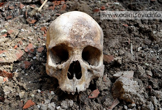 Человеческие кости нашли на стройке в Одинцово
