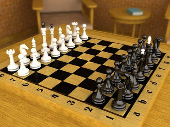 Уроки шахмат могут появиться в подмосковных школах