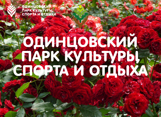 в Одинцовский парк культуры, спорта и отдыха пройдут праздничные мероприятия, в том числе акция по высадке роз, как символа любви, верности и смирения