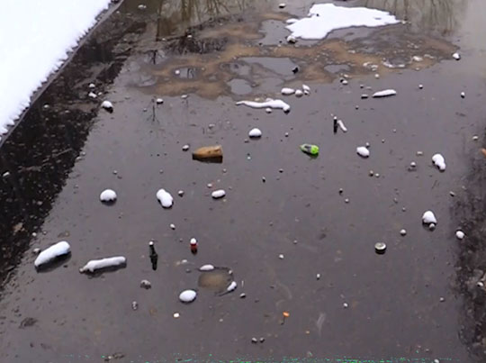 Жители Немчиновки обвиняют ТЦ "Вегас" в загрязнении пруда
