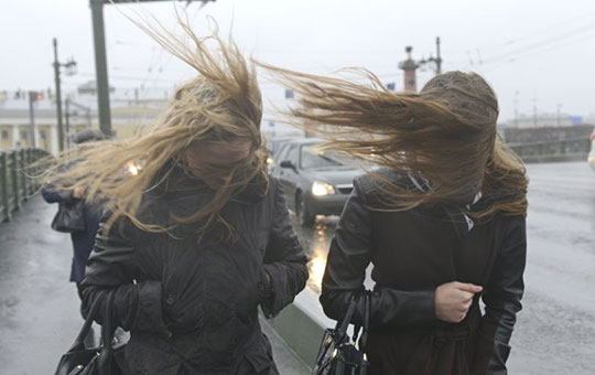 Порывистый ветер пришёл в Московский регион