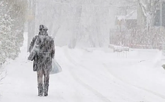 7 февраля Подмосковье накроет циклон "Ольга" с сильными снегопадами
