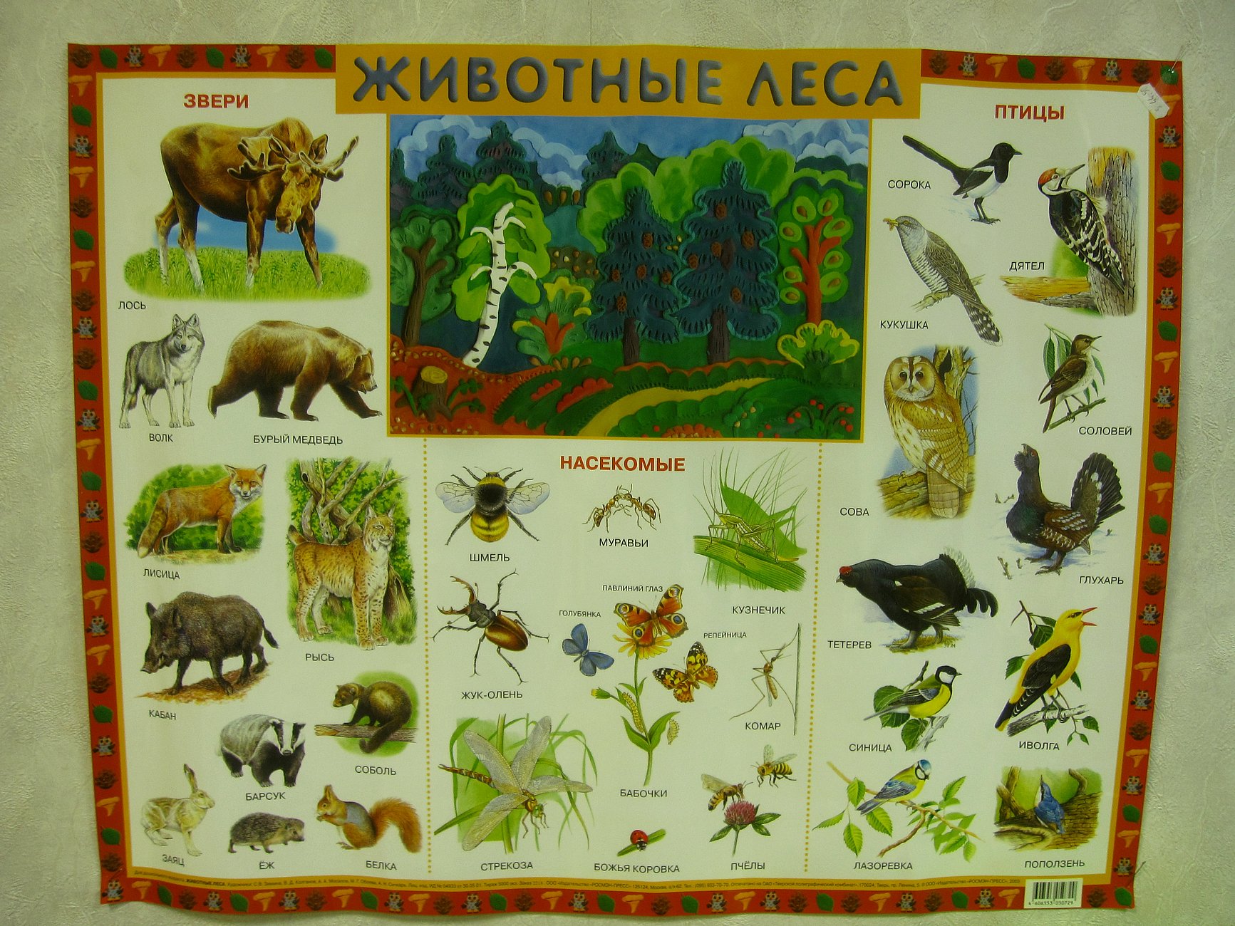 Лесные животные и насекомые. Животные леса плакат. Лесные плакаты. Постер Лесные обитатели. Плакат животные леса для детей.