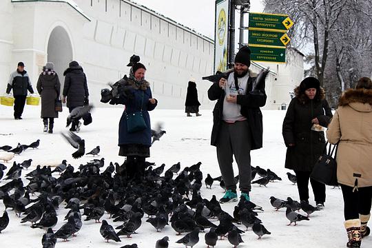 Любовь и голуби, Рождественские каникулы - 2015, yans, Одинцово