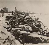 Голодомор начала 30 х годов в Поволжье