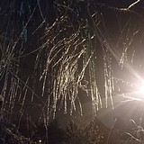 Лесной городок 