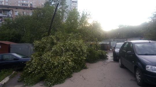 Дерево повалилось прихватив с собой столб и перекрыв проезд, чудом не зацепив припаркованные машины Союзная 36, Стихия, gliz