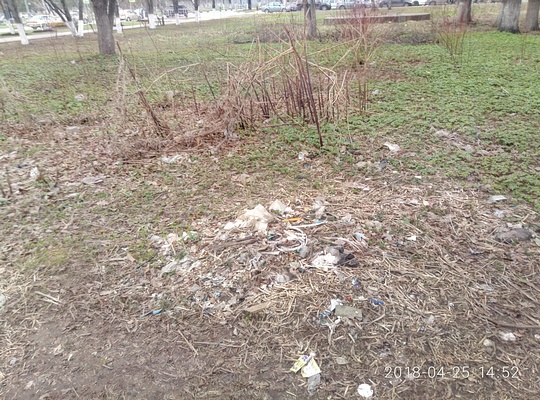 Куча старого мусора посреди Одинцово после субботника, Парк Рогатка, rotfront