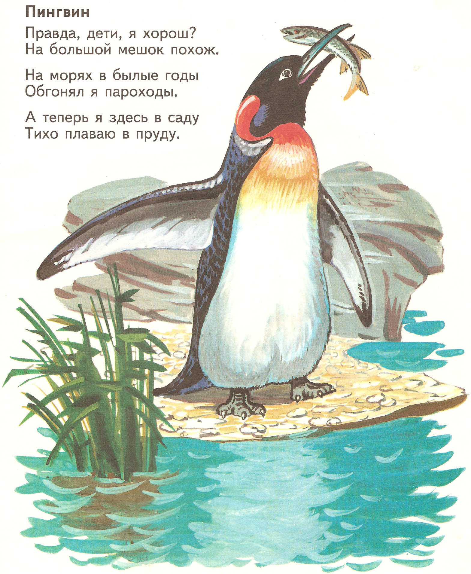 Маршак Пингвин
