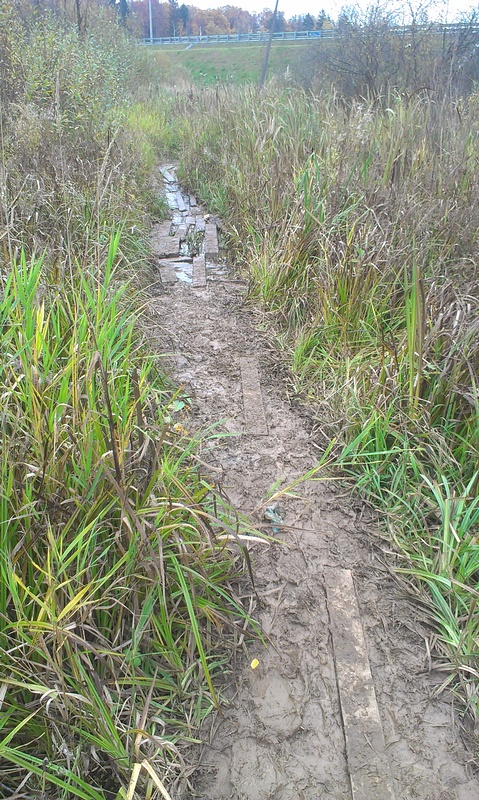 04, Убитые пешеходные тропы, veloman, Власиха