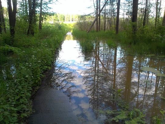 05, Убитые пешеходные тропы, veloman, Власиха