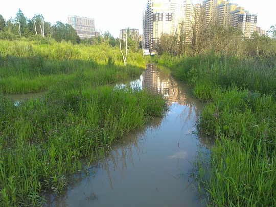 07, Убитые пешеходные тропы, veloman, Власиха