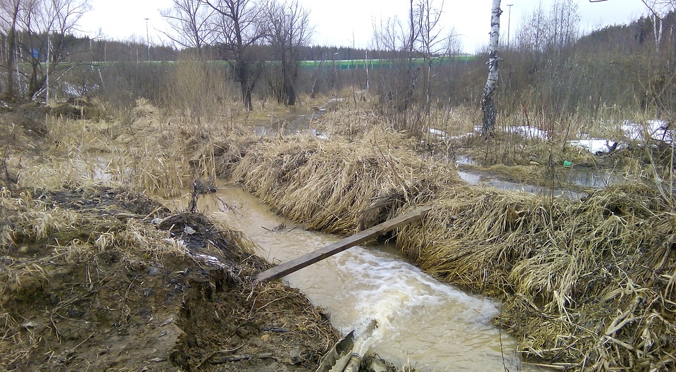 Одинбург, shch, Одинцово, Северная