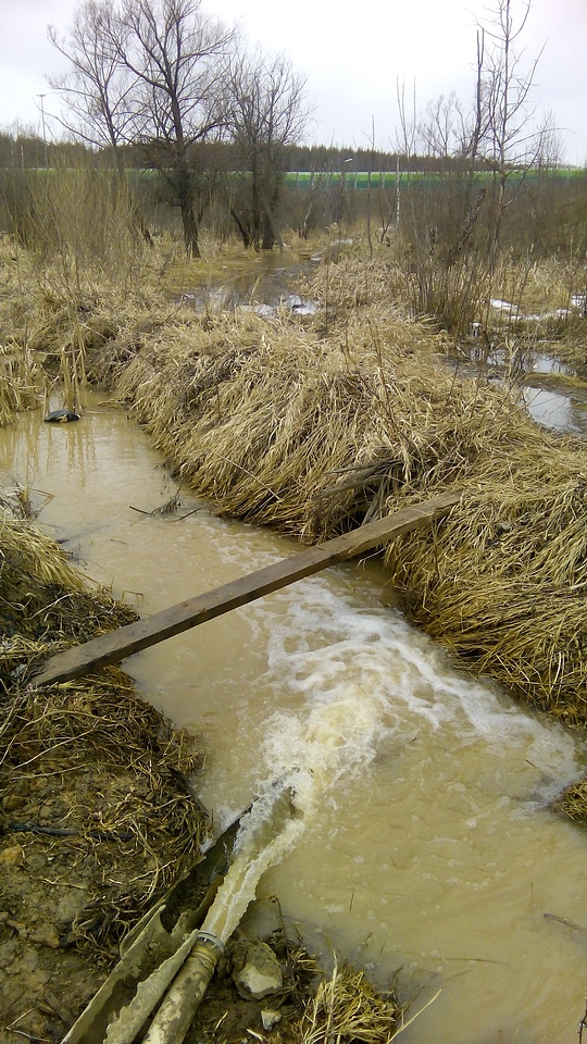 Сброс воды из ливневки , Одинбург, shch, Одинцово, Северная