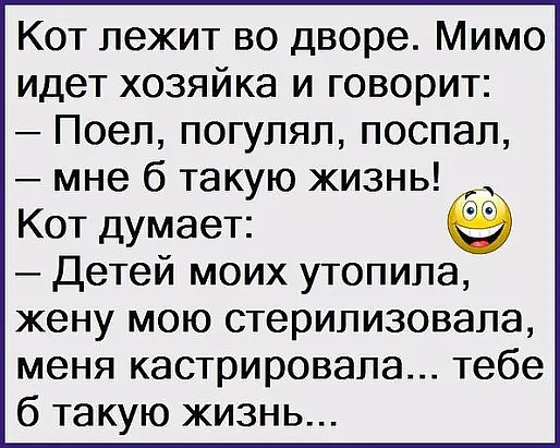 Эти забавные животные., nkolbasov, Одинцово, Ново-Спортивная д.6