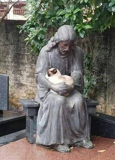 котик_07