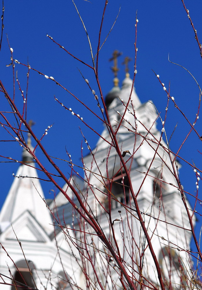 Звенигород, vicart, Одинцово, Молодёжная