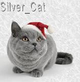 Новогодний я