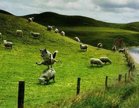 Чехарда, Приколы, Key, Одинцово