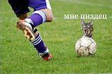 Пипец