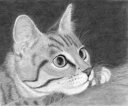Кошак :), мои рисунки, Romashka, Одинцово, Можайское шоссе