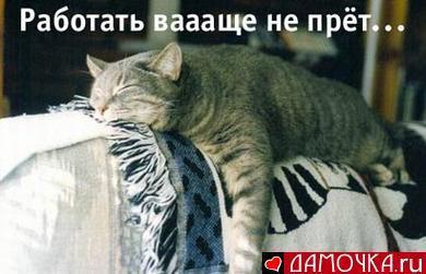 Не прет, Разное, Xsi, Одинцово