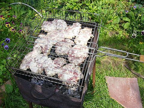 BBQ, Дача, anders, Одинцово, Жукова