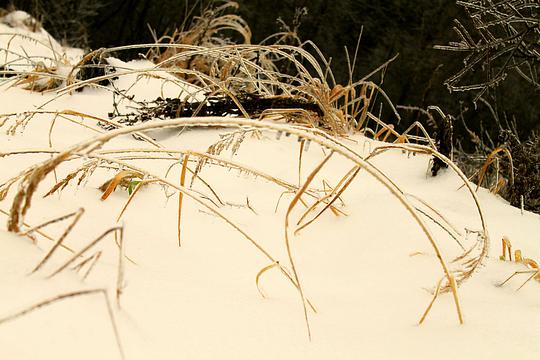 Зима 2010-2011, beata, Ветка Герцена, 4