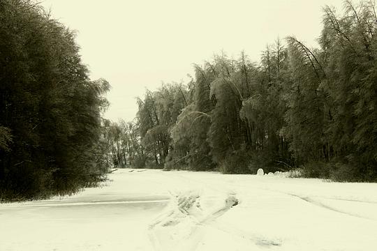 Зима 2010-2011, beata, Ветка Герцена, 4