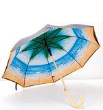 Зонт " Пальма"

Размер: L=90 см, D=99

Материал: нейлон