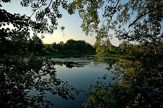 Природа, dmitpy253