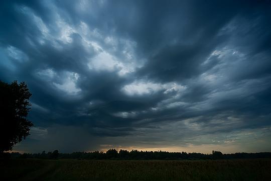 Утро в лесу, Природа, dmitpy253