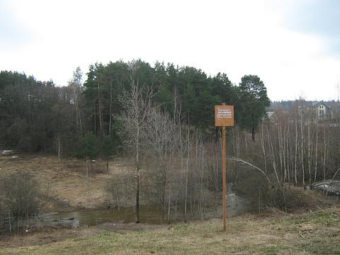 Овраг, 21.04.2012 - митинг в Соснах, gorkaya_pravda