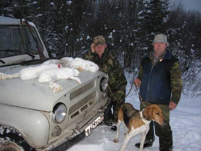 Погода в красноборске на 3. Авария в Красноборском районе.