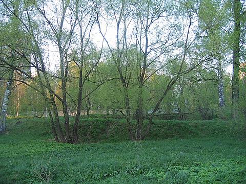 Красиво, Природа, Tortila, Одинцово