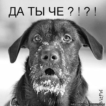 Дела Одинцовские., nkolbasov, Одинцово, Ново-Спортивная д.6