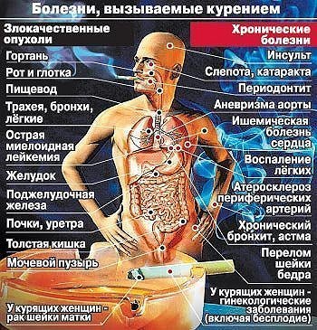 МАМА    ЗАРЯ, nkolbasov, Одинцово, Ново-Спортивная д.6