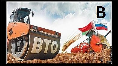 АНТИКАПИТАЛИЗМ, pravdist, Одинцово с 1975г, ул.Ново-Спортивная д.6