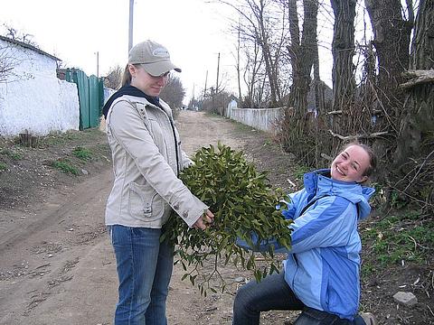 всячинка, sestrenka, Одинцово