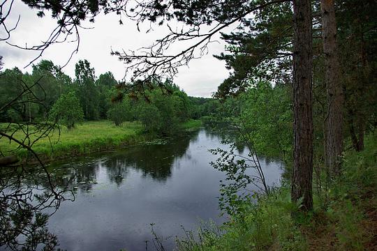 река Березайка, Реки. Большие и маленькие, slaw, Большие Вяземы