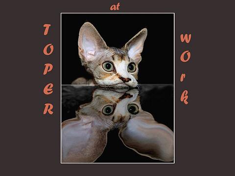 мой валпэпэр, разное, toper, Одинцово