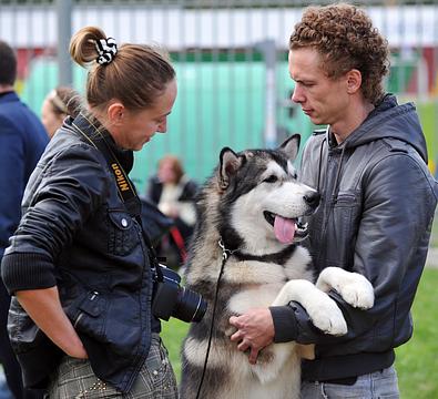 Выставка собак, День города 2010, Одинцово — 53,  день города, 2010, ptits