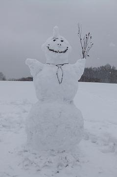 Маслиничный снеговик, Конкурс снеговиков - 2011/12, bagira5