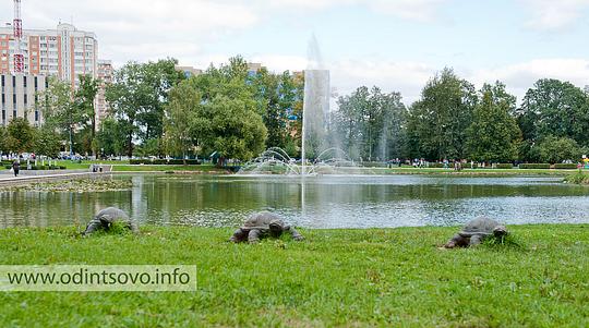 Черепахи у баранки, День города 2012, Одинцово — 55!, ando