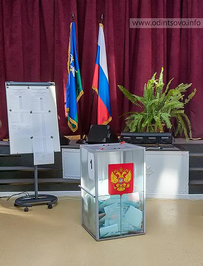 Впервые на выборах в Одинцовском районе прозрачные урны для голосования