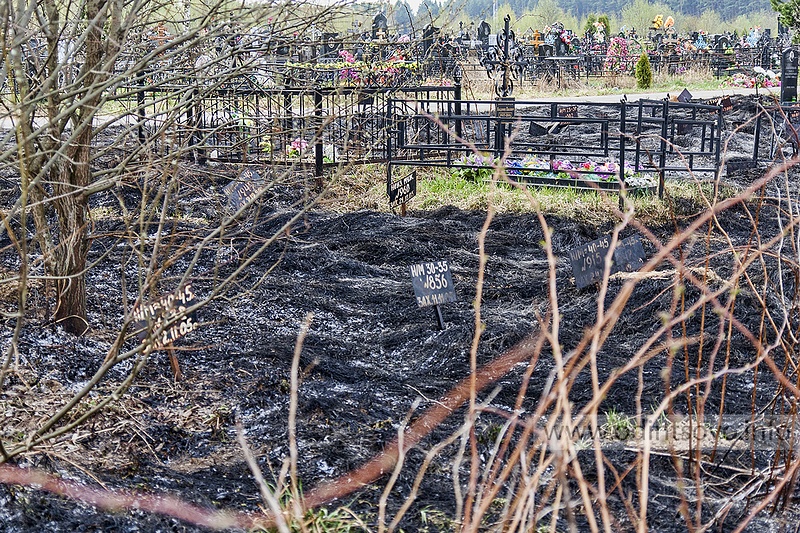 Пожар на кладбище Лайково, 27.04.2014, Последствия пожара на кладбище Лайково