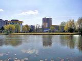 Баранка.