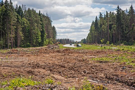 Вырубка и строительство пристыковки Северного объезда к 1 Успенскому шоссе, Шоссе было скрыто лесом